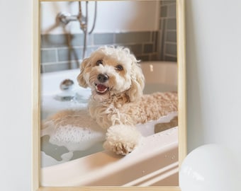 May include: A framed photograph of a small, light brown dog sitting in a white bathtub filled with bubbles. The dog is smiling and looking at the camera. The bathroom is tiled in gray and white.