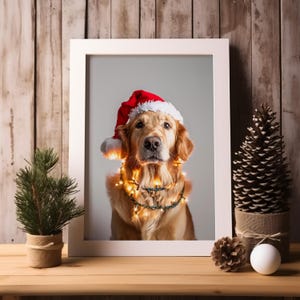 May include: A golden retriever dog wearing a red Santa hat and a string of Christmas lights around its neck. The dog is looking at the camera and is framed in a white picture frame.