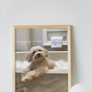 May include: A white dog with brown eyes sits in a bathtub filled with bubbles. The dog is looking at the camera. The bathtub is in a bathroom with white tile walls and a white towel hanging on a rack.