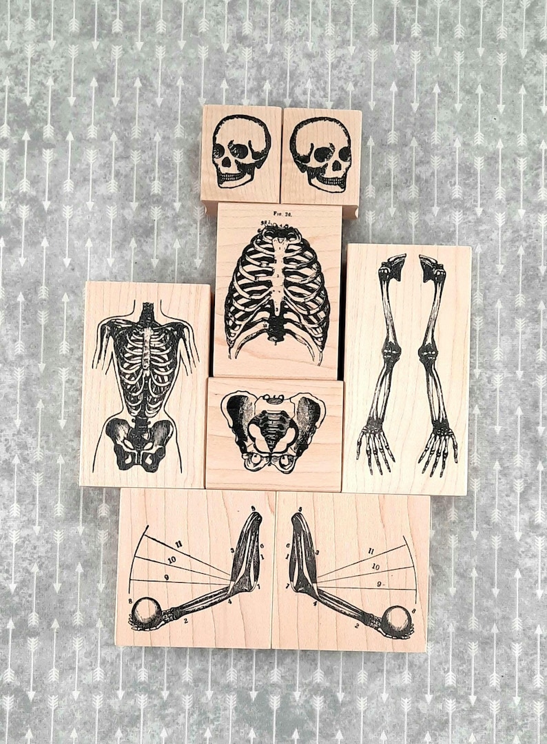 Skeleton Parts Sticker No.1 Assortment of Skeleton Parts Wood Mount Rubber Stamps - Etsy