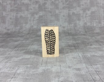 Fossil Form Wood Mounted Rubber Stamp, texture, pattern design element