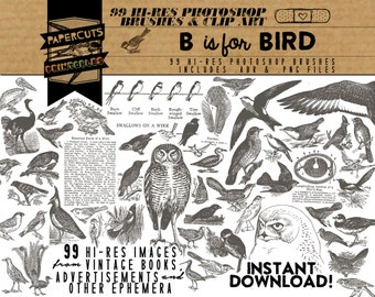 B is for Bird - 99 Hi-Res Photoshop Brushes / Clip Art / Image Pack - Includes .ABR and .PNG Files