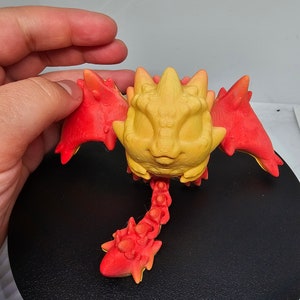 Cucciolo di Drago Cenerentola