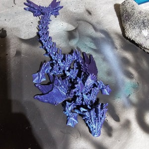 Cucciolo di drago oceanico