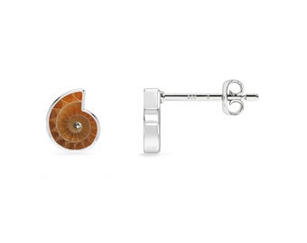 Raw Ammonite Sterling Silver Stud Earrings: Fossil Jewelry