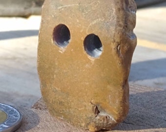 Ragnar the Pet Rock