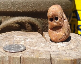 Ragnar the Pet Rock