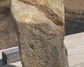 Tall Garden Funny Rock