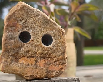 Petrified Wood Rock Friend