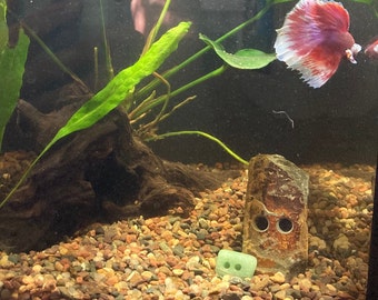 Funny Garden Aquarium Rock Band Golem Pet CUSTOM