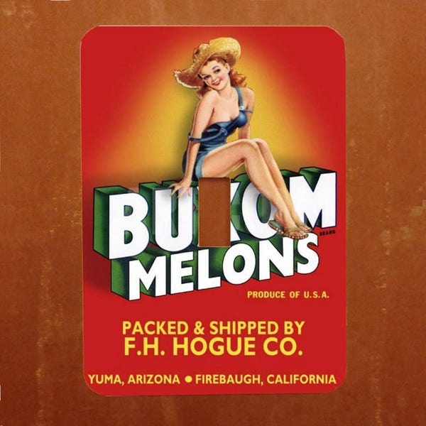 Buxom Melons -- Vintage Pinup Crate Label Light Switch Cover -- Oversized (Multiple Styles)