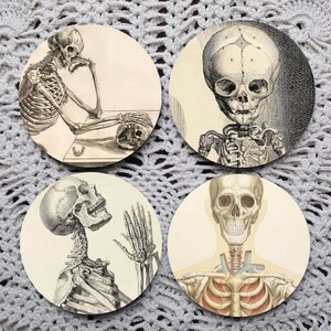 Skeletons in the Closet -- Bones Mousepad Coaster Set