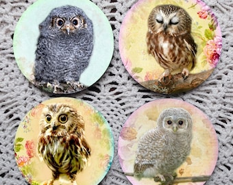 Tiny Owls -- Owlet Mousepad Coaster Set