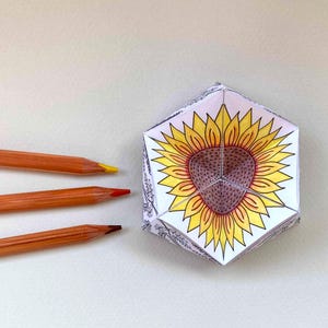 May include: A folded paper hexagon featuring a colored sunflower illustration with yellow petals and a brown center, positioned next to three wooden colored pencils in shades of yellow, orange, and brown, arranged in a parallel horizontal line.