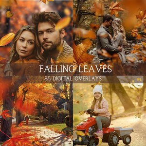 Autumn Leaves Photo Overlays: 85 Falling Leaf PNG Backdrops (Digital Download)