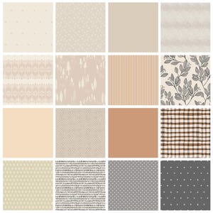 Neutral Territory Curated Quilt Bundle | Bonnie Christine AGF Studio | Neutral Colors | Tan Ivory Dark Gray | Various AGF Fabrics