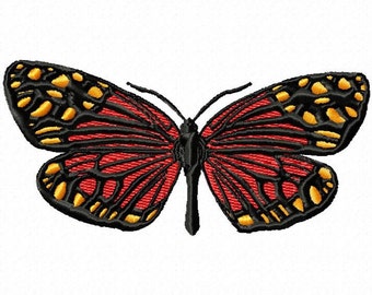 fiery campylotes moth 208