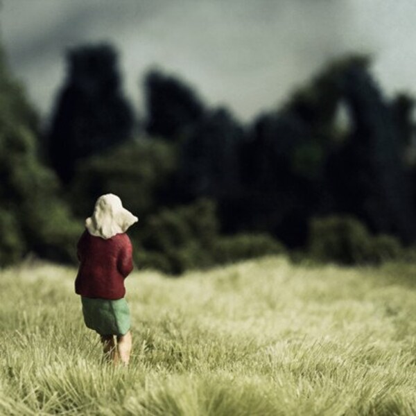 The Clearing - 8x8 photo