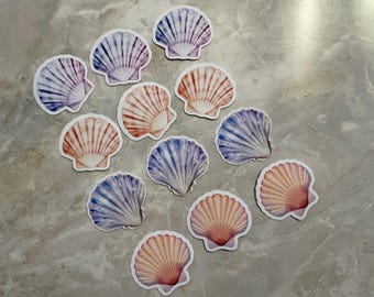Seashell Refrigerator Magnets - Colorful Kitchen Decor, 12 pc Set