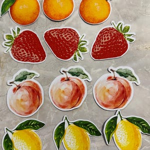 Decorative Fruit Refrigerator Magnets - Colorful Kitchen Decor - Unique Gift - Fruit lover gift - Kitchen decor - 12 pc magnet set