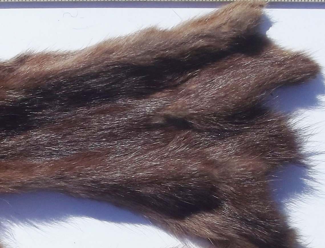 Real vintage fur skin two matched pastel color pelts presumed | Etsy