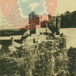 impression vintage, des ruines des Oudayas à Rabat, Maroc - années 1920, lot de 5, carte postale, impression d'art, antiquité, téléchargement numérique instantané, papier imprimable
