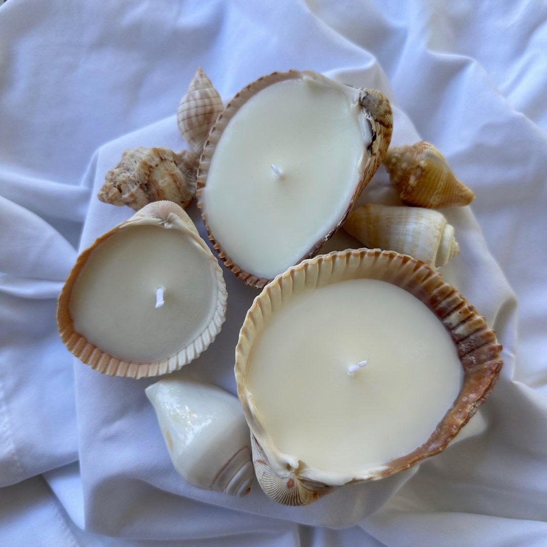 Handmade Seashell Soy Candle for Decor, Gifts, Weddings, Events - Etsy