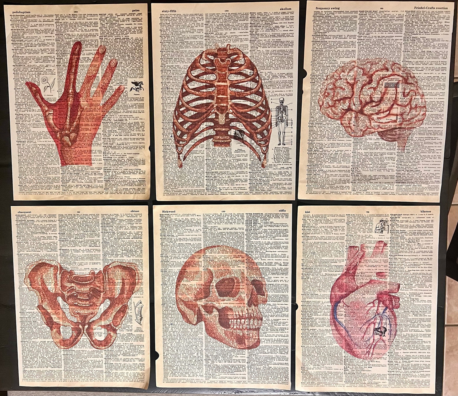 Watercolor Anatomy Dictionary Prints, Vintage Dictionary Art Prints ...