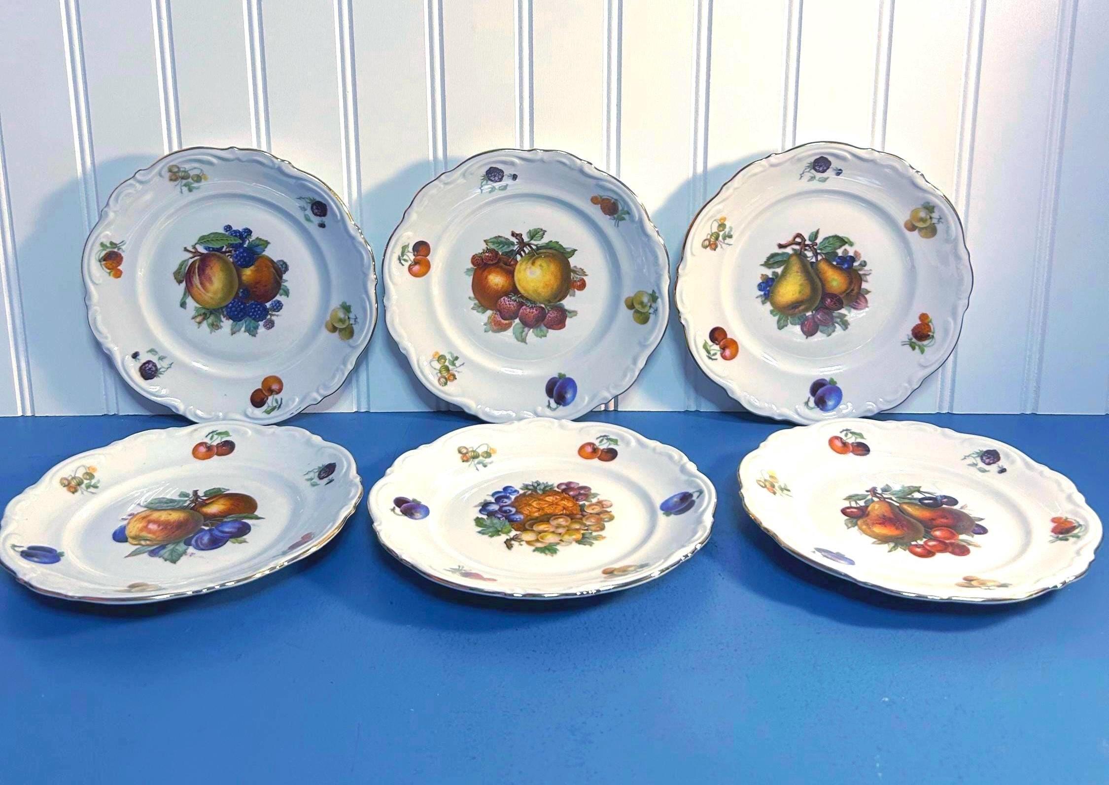 Vintage Amzo Debra Assorted Fruit/Salad Plates from Germany ~ set of 6