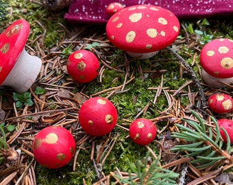 Fairy Ring of Wooden Red and Copper Spotted Mushrooms       f