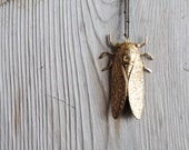 SALE - Cicada Necklace. Bug Jewelry. Insect Necklace. Long Layering Pendant. Rustic Science Entomology Nature Jewelry. FREE Shipping in US