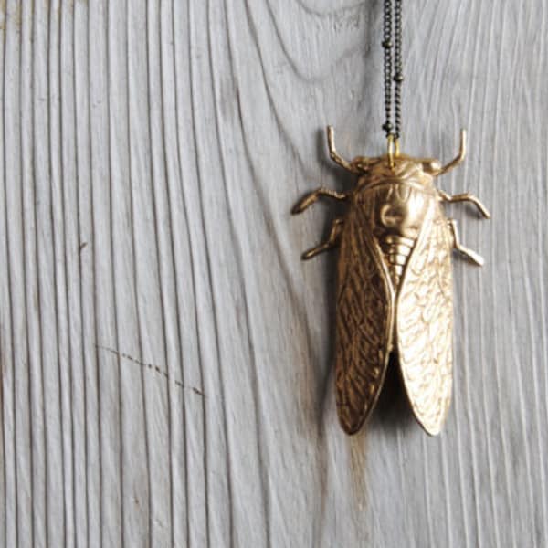 SALE - Cicada Necklace. Bug Jewelry. Insect Necklace. Long Layering Pendant. Rustic Science Entomology Nature Jewelry. FREE Shipping in US