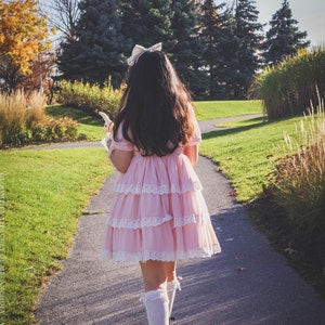 Gloomth Havisham Pink Chiffon Tiered Antique Tea Dress Sizes S to 5XL Available