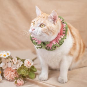 May include: An orange and white cat wearing a pink and green crocheted collar. The cat is looking up and to the left. A bouquet of flowers is in the lower left corner of the image.