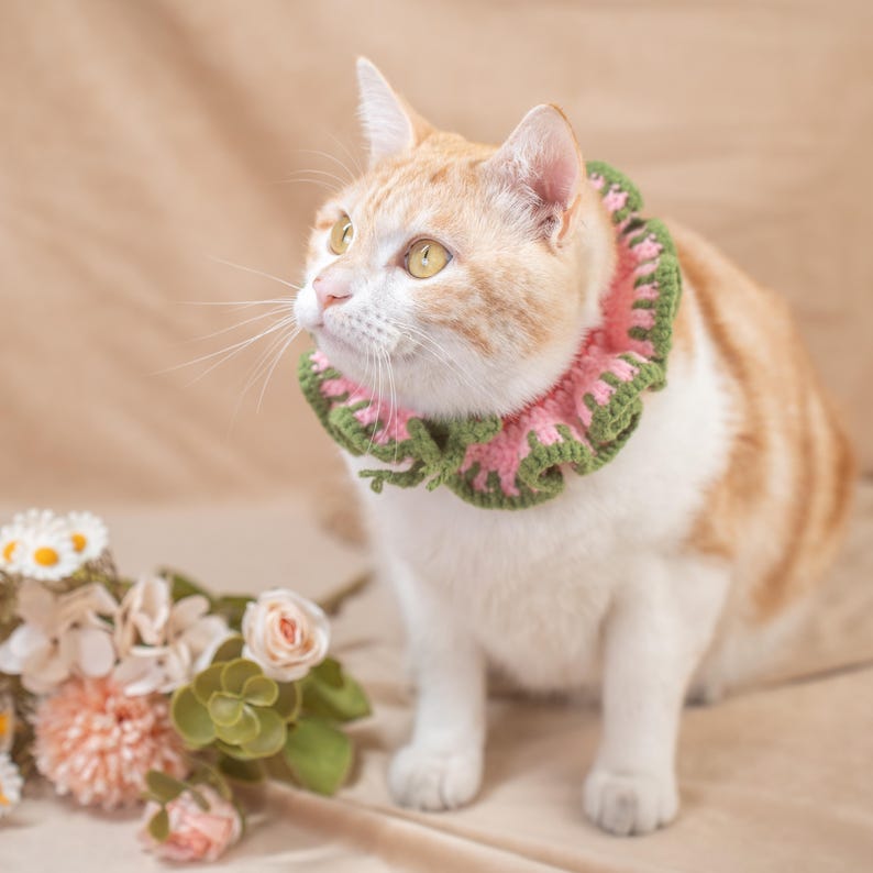 May include: An orange and white cat wearing a pink and green crocheted collar. The cat is looking up and to the left. A bouquet of flowers is in the lower left corner of the image.