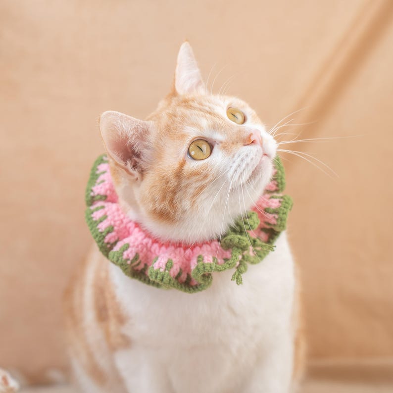 May include: A ginger and white cat wearing a pink and green crocheted collar. The cat is looking upwards with its yellow eyes open. The collar has a scalloped edge and is around the cat's neck. The background is a light brown color.