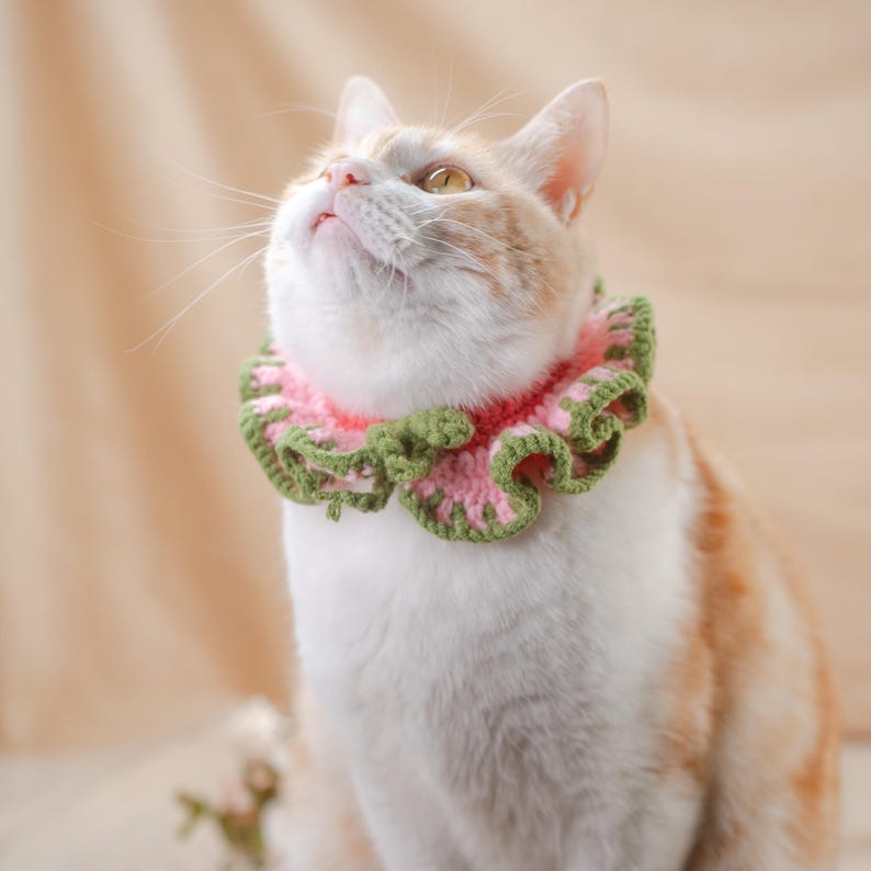 May include: A cat wearing a handmade crochet collar. The collar features a ruffled design with alternating pink and green colors. The cat has white and orange fur and is looking upwards.