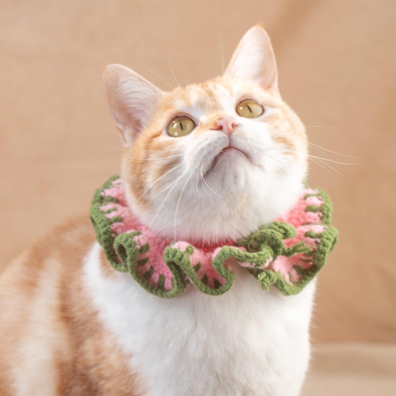 Floral Pet Bib Dainty Daisy Scarf for Pet Lovers Handmade Crochet Soft Pet Bandana Aesthetic Cottagecore Neckwear Unique Kitten Accessory image 5