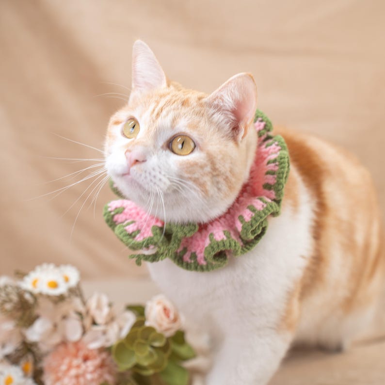 Floral Pet Bib Dainty Daisy Scarf for Pet Lovers Handmade Crochet Soft Pet Bandana Aesthetic Cottagecore Neckwear Unique Kitten Accessory image 9