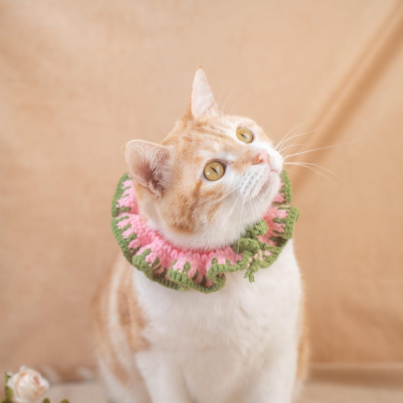 Floral Pet Bib Dainty Daisy Scarf for Pet Lovers Handmade Crochet Soft Pet Bandana Aesthetic Cottagecore Neckwear Unique Kitten Accessory image 3