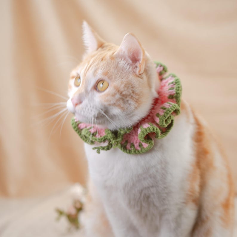 May include: A ginger and white cat wearing a handmade crochet collar. The collar features a ruffled design with alternating pink and green sections. The cat is looking off to the side against a soft, neutral background.