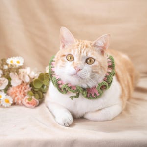 May include: An orange and white cat wearing a green and pink crocheted collar. The cat is lying down with its paws tucked in. A bouquet of flowers is in the background.