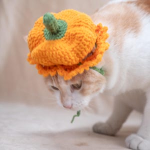 Crochet Pumpkin Hat for Cats & Small Dogs Cute Orange Pet Beret with Stem Handmade Autumn Harvest Photo Prop Unique Kitten Halloween Costume