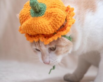 Crochet Pumpkin Hat for Cats & Small Dogs Cute Orange Pet Beret with Stem Handmade Autumn Harvest Photo Prop Unique Kitten Halloween Costume