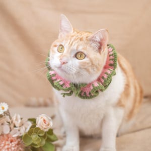 May include: A ginger and white cat wearing a handmade crochet collar. The collar features a ruffled design with alternating pink and green sections. The cat is looking upwards, with a soft, neutral background.