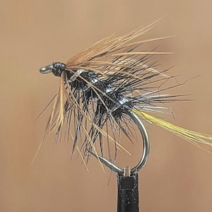 May include: A black and brown fly fishing lure with a yellow tail and a silver hook.