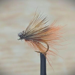 Caddis - CDC and Elk Hair  - Red Sedge. Classic Dry fly pattern. Popular, versatile and effective worldwide