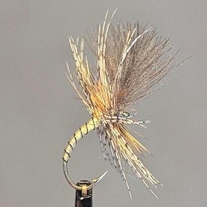 Grunter Trockenfliege (Yellow Owl Variante) (CDC) Für Forelle und Äsche. Großartiges Geschenk für Angler & Angel-Memorabilia-Sammler.