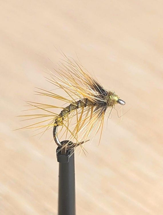 Lot De 30 Mouches à Pêche Tête Dorée – Assortiment De Nymphes Pour Truite, Tailles 10 Et 12