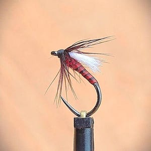 Mouche noyée rouge bordeaux (CF), nymphe, chironome, pour la truite et l'ombre. Modèle pour rivière et lac.